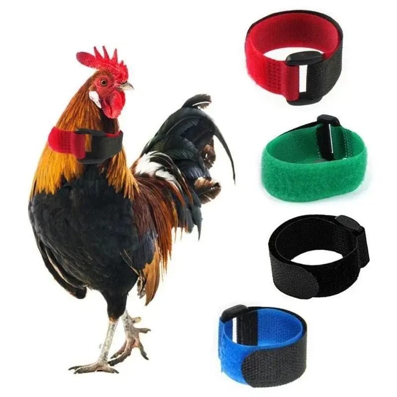 High-Quality Poultry Chicken Collars with Harnesses - Rooster Crowing Prevention, No-Hook Neck Tie, Christmas Supply Accessory
