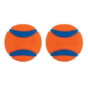 Ball Dog Toy, Medium (2.5 Inch Diameter) Pack of 2, for Breeds 20-60 lbs