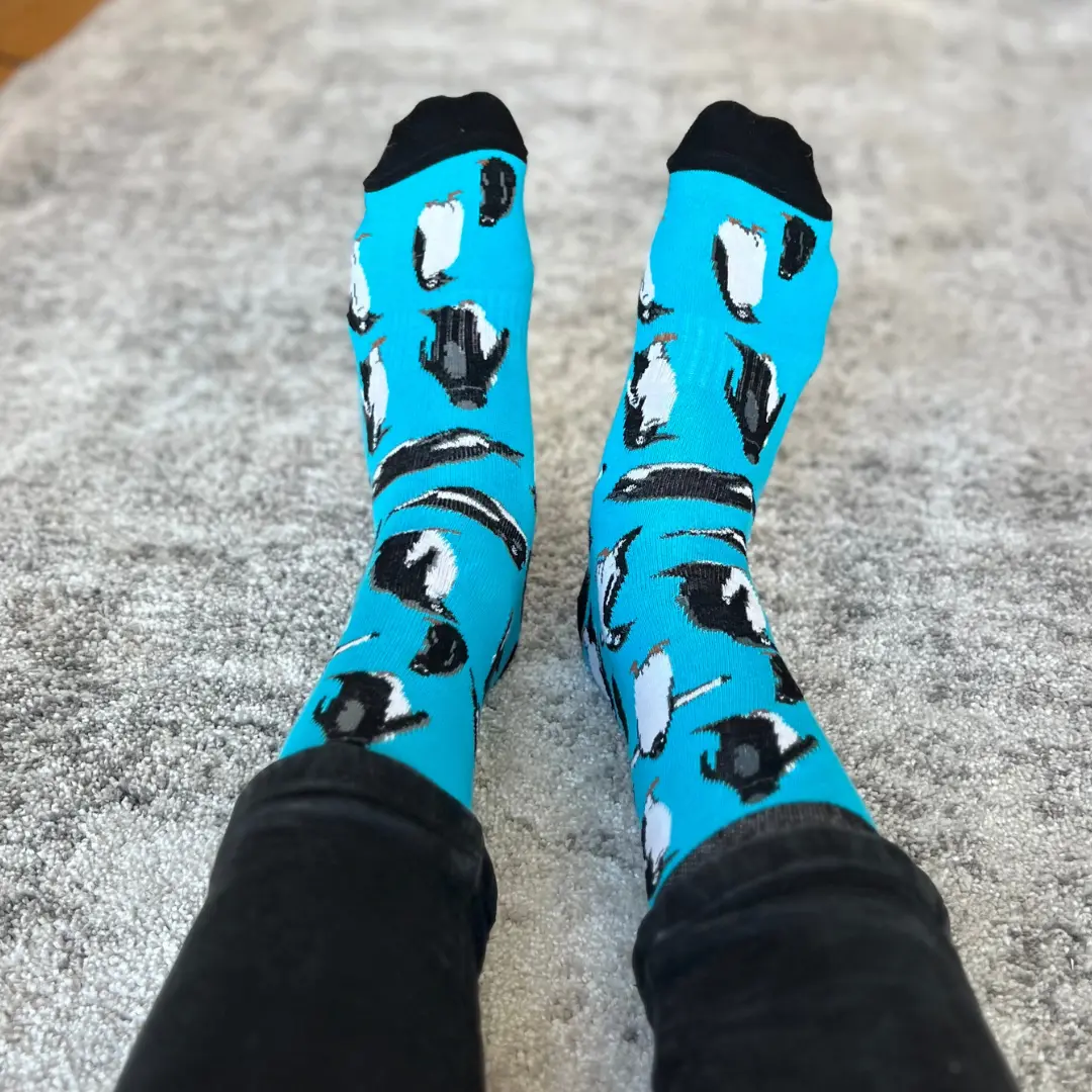 Penguins Sock Penguins Sock