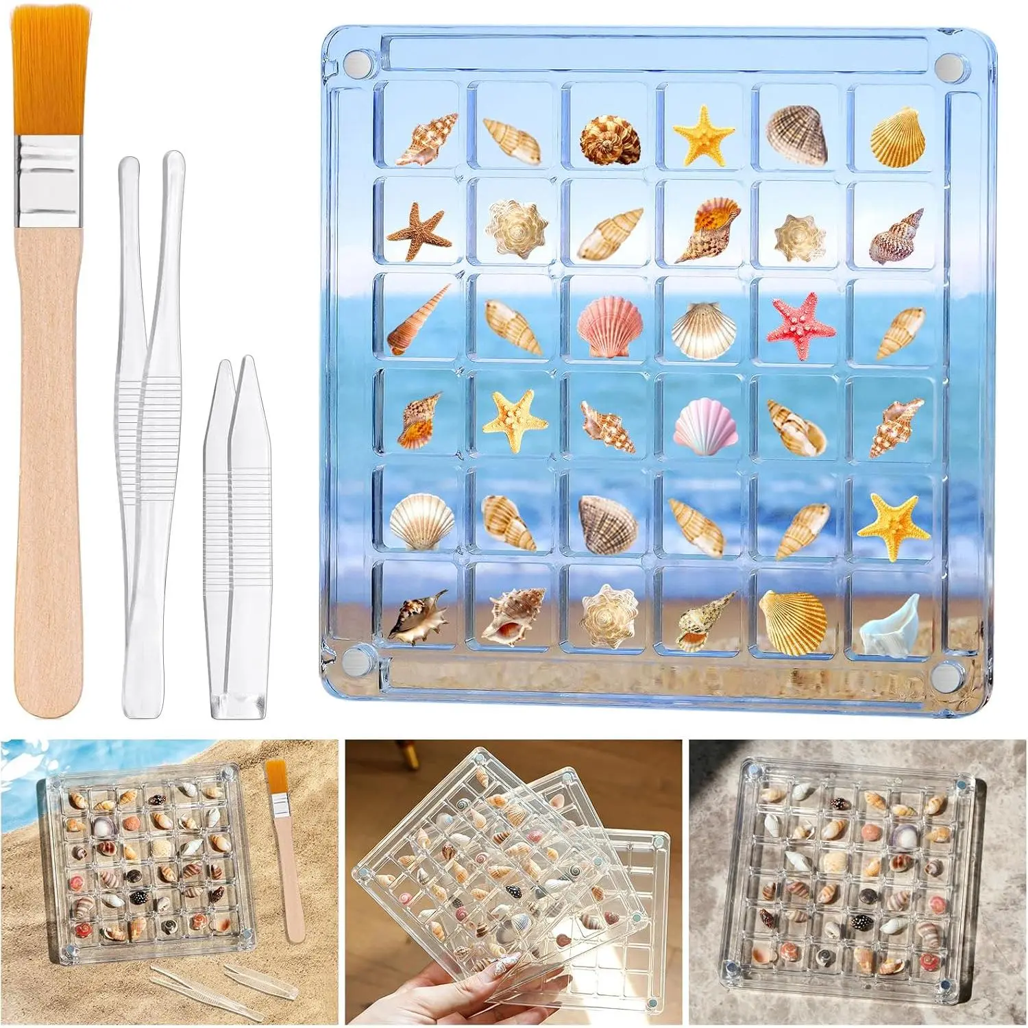 Seashell Display Box - 36 Grids Transparent Shell Collection Case for Mini Seashells, , Small Collectibles - Shell Display Case, Seashell Display Case (Box-001)