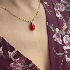 Ladybug necklace