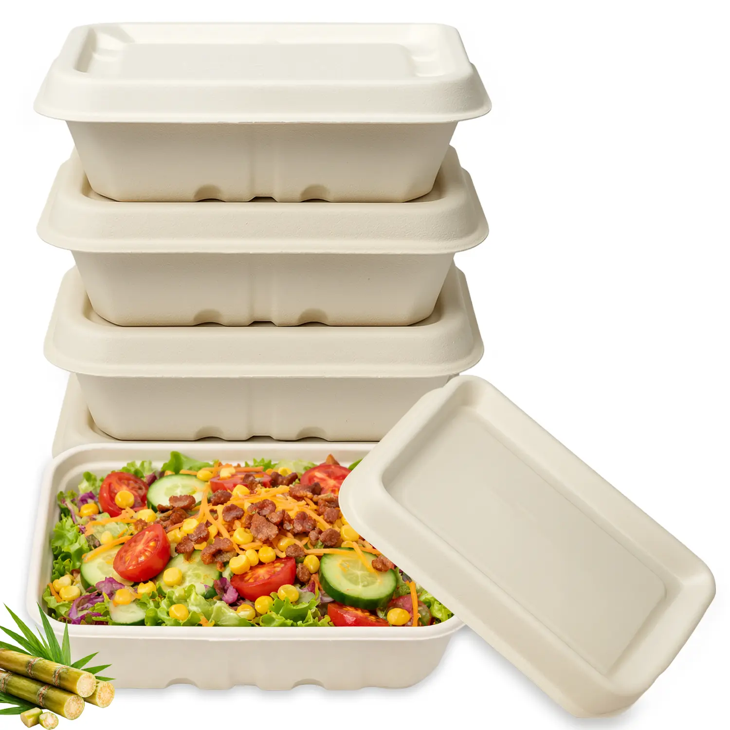 FPN Disposable Food Container with Lids 25 oz Compostable Take Out Boxes | Bagasse Paper Meal Prep Container | Microwave & Freezer Safe To Go Food Container with Lids for Takeout, Storage