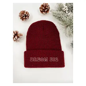 Dream Big Embroidered Beanie