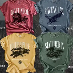 Wizard House Shirt, Gryffindor Ravenclaw Hufflepuff Slytherin Tee, Fantasy House Aesthetic Shirt, Magic School Inspired Unisex T-Shirt D66TN