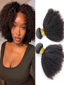 Afro Kinky Curly Bundles Brazilian 1/2/4 Bundles Afro Kinky Human Hair Bundles Deal 10-20" inch Human Hair Extensions Curly Human Hair Weave For Women 100% Unprocessed Human Hair Bulk Human Hair Textured