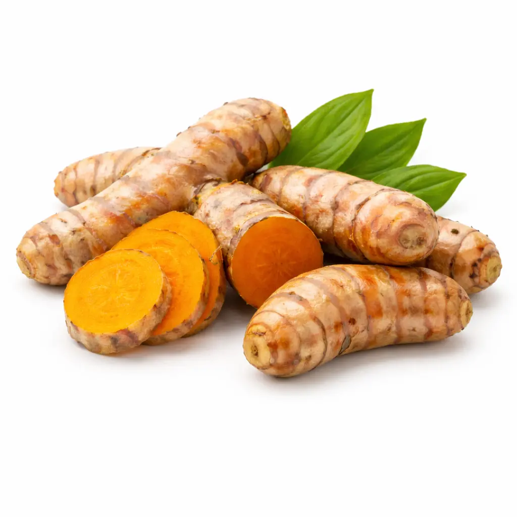 Fresh Turmeric Root Spice, 1 lb Whole Raw Rhizomes, Non-Dried (Not for Planting) for Tea, Juicing, Cooking