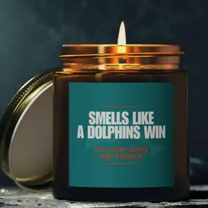 Smells Like a Dolphins Win Sport Candle, Soy Wax Candle Gift, Miami Football Candle, Victory Candle, Miami Football Fan Gift, Gift for Winners, Sport Win Candle Gift, Christmas Gift Idea, Gift For Fan, Game Day Decor