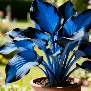 800pcs Hosta Seeds – Easy to Grow, Hardy & Low Maintenance! Perfect for Shaded Areas, Pots & Borders. Create Lush Greenery with Elegant Leaves That Bring Texture, Beauty & Calm to Any Garden Space!