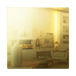 LIDER Screwless Blank Wall Plate, Polycarbonate Thermoplastic, Temperature and Impact Resistant, 2-Gang, Mid-Size