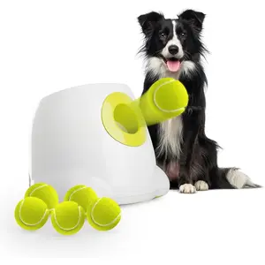 Automatic Ball Launcher