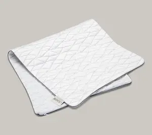 Coop Sleep Goods Cool Side Pillowcase King