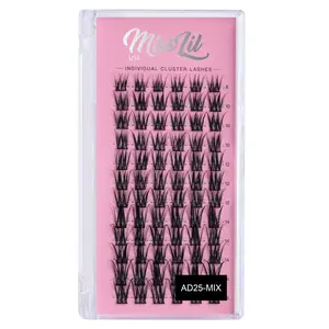 DIY Cluster Lashes AD-25 Small MIX Tray