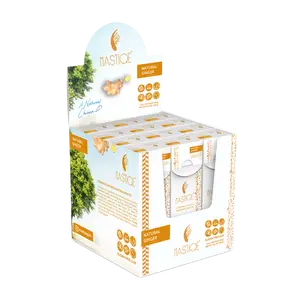 Mastiqe Sugar-Free Gum with Natural Mastic Ginger (12-Pack)