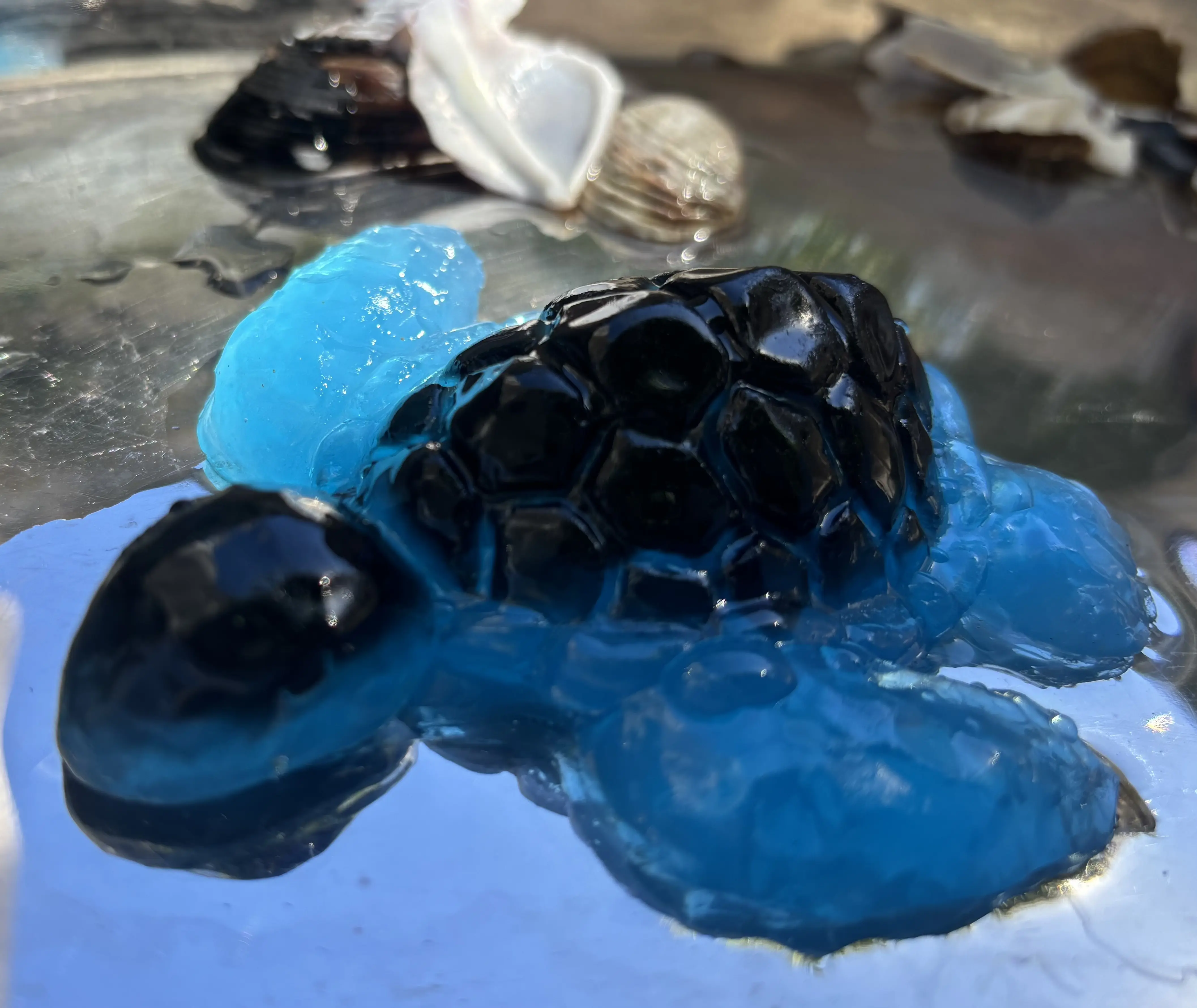 Sea Turtle Squishy