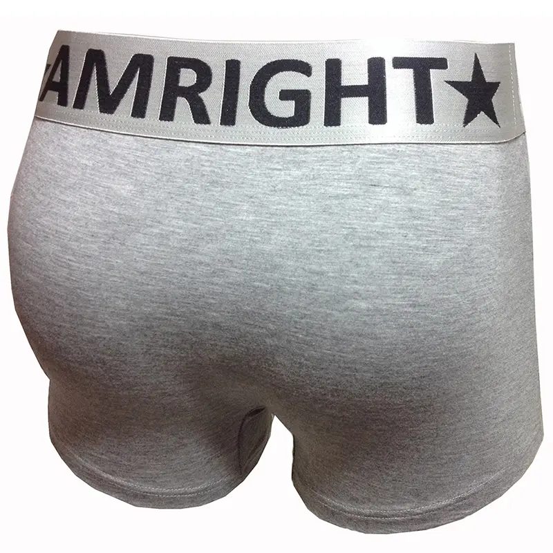 Stock Clearance Seamles Men's Boxer Briefs - High-Quality Fabric, Quick-Dry, Comfortable Gray Mens Underwear