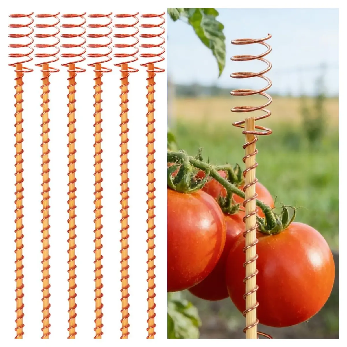 6PCS 15" Copper Electroculture Plant Stakes – Garden Antenna Rods with Coil Wires & Rings