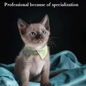 small floral pet collar with shirt collar design for cats; safety buckle prevents choking, adjustable; attractive aesthetic; universal for cats and dogs; safety snap clip + anti-choking design