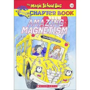 USED-Amazing Magnetism by Carmi, Rebecca (Unknown)