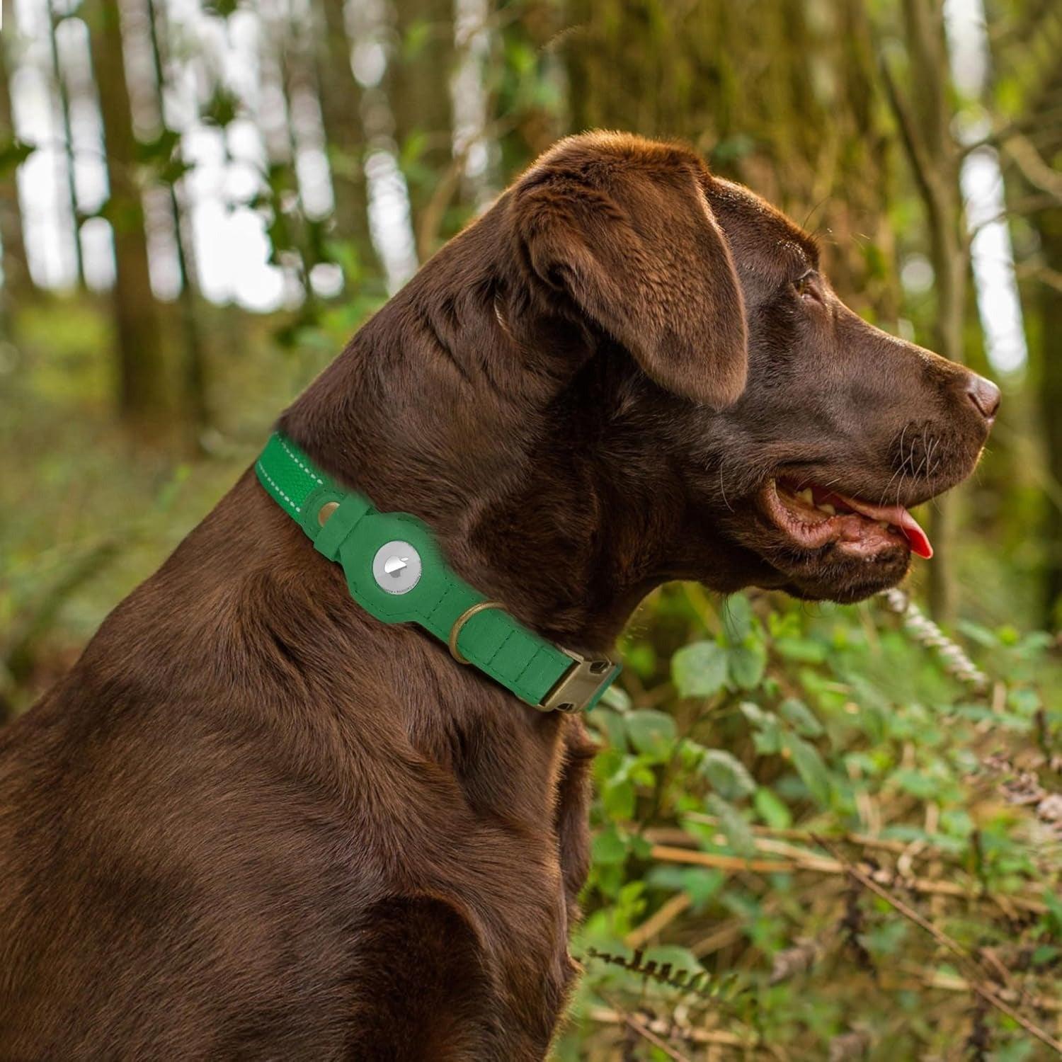 Pet Positioning Tracker Collar - Orange Adjustable Nylon Webbing with Neoprene for Small to X-Large Dogs - Secure Airtag for Tracking & Safety - Lightweight & User-Friendly App - Durable Construction