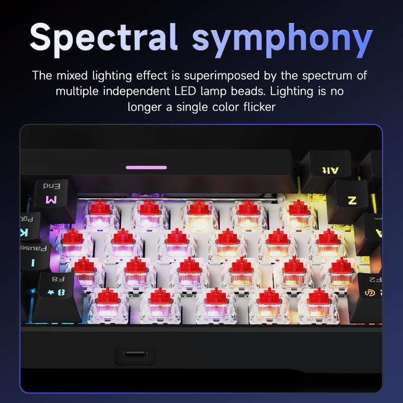 AJAZZ NK61 Mechanical Keyboard with Red Switches, ABS Black Keycaps, 60% Compact Layout, Wired Office Mechanical Keyboard, TKL Mixed Backlighting, Ribbon Included, Portable, Comfortable Typing Feel, Suitable for Gaming, Office, and More Scenarios