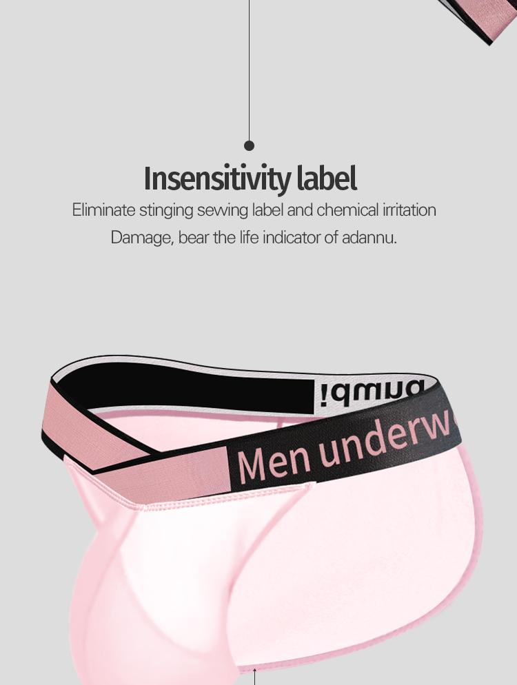 Men's Briefs Transparent Mesh Summer Ultra-thin Underpants High Cut Male Briefs Bikini Underwear Seamless Lingerie See Through Low Rise