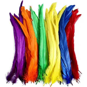 30PCS Rooster Coque Tail Feathers Bulk Mix Colour 12-14Inch 30-35cm for Crafting Wedding Gras Masquerade Party Performances DIY Decoration Rooster Tail Feather,Mix Colour