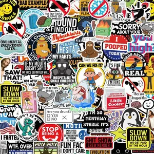 300PCS Funny Saying Sticker Pack - Snarky, Sarcastic Bold Humor Vinyl Waterproof Meme stickers for laptop, computer, water bottle, ipad, cellphone, phones bumper folding chair, Devices sticker pack Accessories