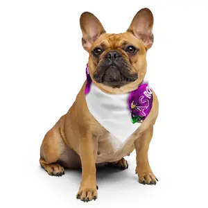 Gasrow Print Bandana