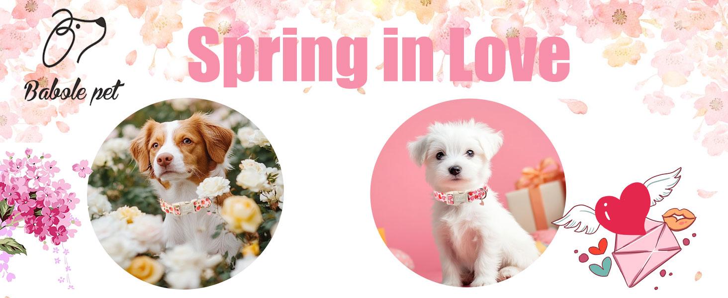 Babole Pet Cute Pink Dog Collar, Adjustable Cotton Dog Accessory with Quick-Release Buckle for Small to Large Girl Boy Dogs