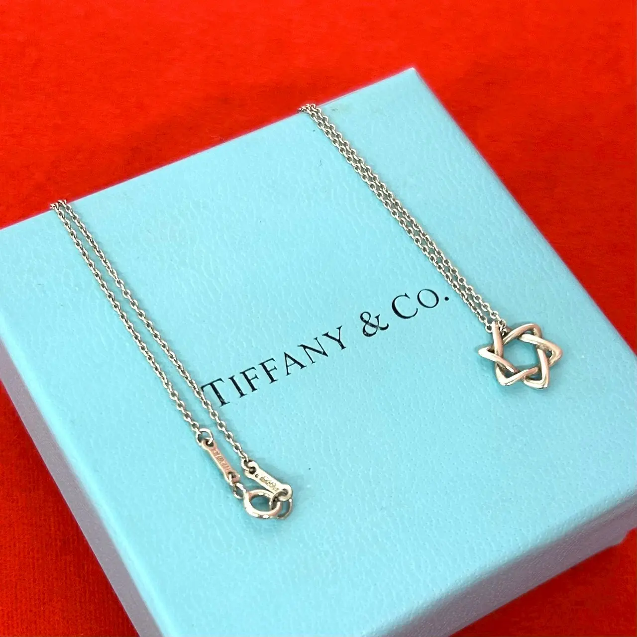 Pre-owned Tiffany & Co. Sterling Silver 925 (Ag925) Small Leather Goods Tiffany&Co. Star of David Silver Necklace