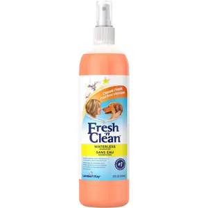 Fresh ’n Clean Waterless Shampoo, Classic Fresh Scent - 12 oz - Rinse-Free, Anti-Tangle Spray - Gently Cleanses and Moisturizes with Aloe Vera - Soap Free