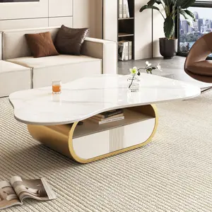 [Bellemave] Modern Butterfly Coffee Table with Sintered Stone Top, Oval Center Table with Storage Shelf & Drawer, Stainless Steel Base & MDF Cabinet