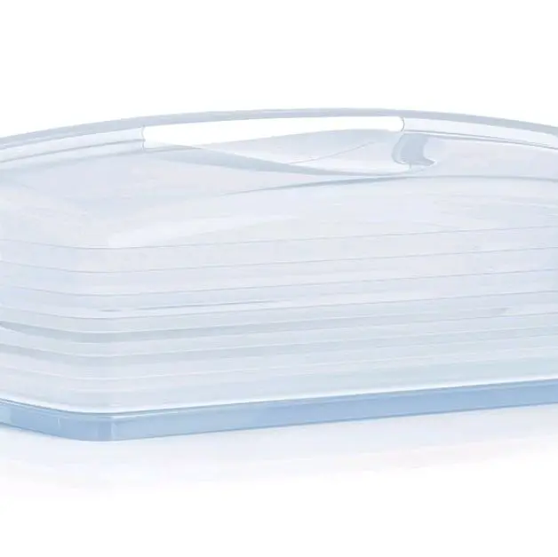 Tupperware Rectangular Cake Taker