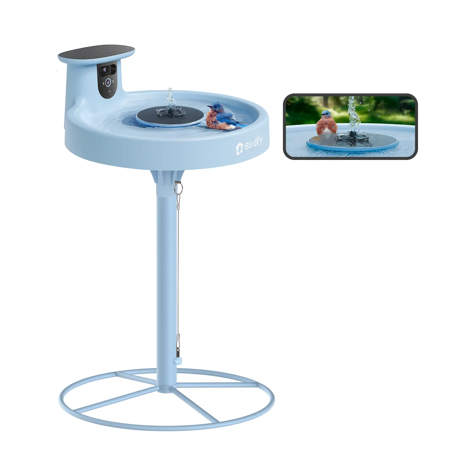 Blue-Stand