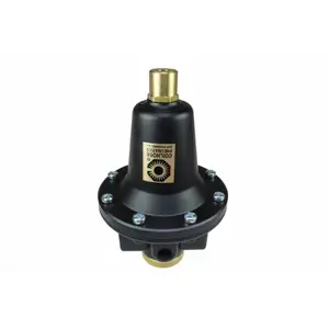 Coilhose Pneumatics 166-8802K 0.25 in. Regulator Tamperproof Key Control