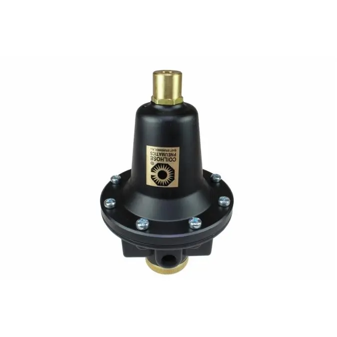 212 MAIN 0.25 in. NPT Threaded Heavy Duty Industrial Pneumatic Regulator, Tamperproof Lock & Key Control, Max 250 PSI, Removable Handle