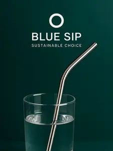 Eco-Friendly stainless steel straws set- Reusable & Durable