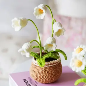 Beginner-Friendly Potted Plant Crochet Starter Kit, DIY Craft Kit with Step-by-Step Video Guide for Adult Beginners (Toys & Hobbies, DIY Knitting & Crochet)