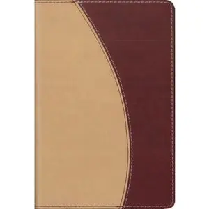 USED-NIV Compact Thinline Bible, Italian Duo-tone, Camel / Cranberry by Zondervan (Unknown)