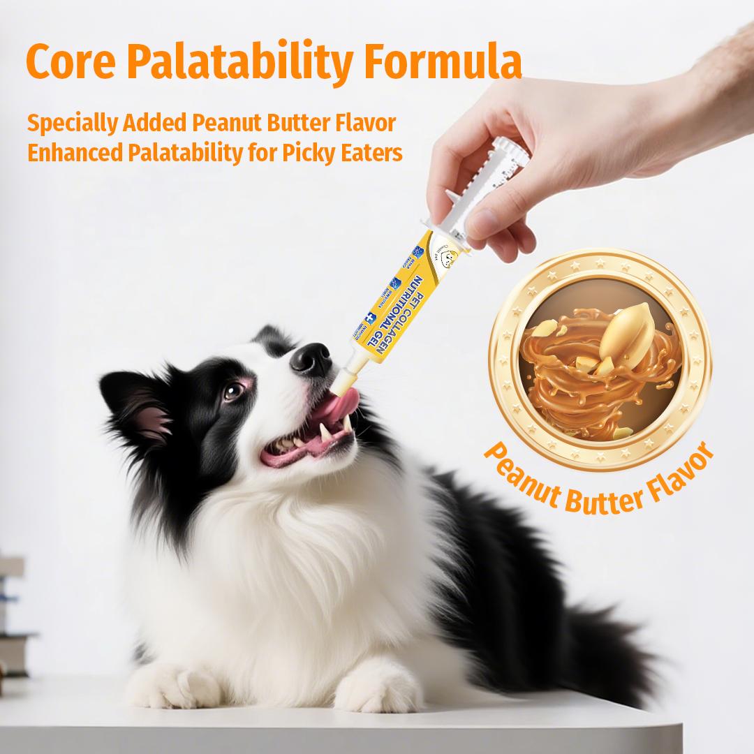 Cassiel Pet, Pet Nutrition Gel, Daily Wellness, Shiny Coat & Energy, Supports Digestive Health, Essential for Dogs, Electrolytes Gel for Beach Camping Hiking, Peanut Butter Flavor, Dog Lover, Pet Nutrition