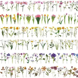 1 set Flower sticker pack, waterproof transparent PET notebook diary DIY tulip materials, notebook stickers