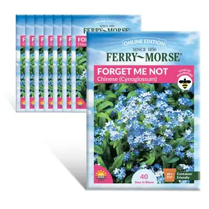 Ferry-Morse Online Edition Forget-Me-Not Flower Seed Multipack - 8 Pack