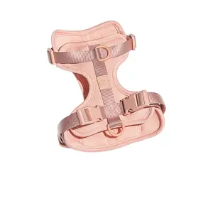 Wild One Harness in Blush
