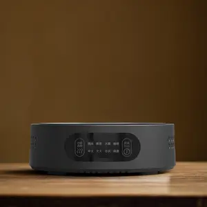 Home Electric Ceramic Stove Mini Tea Maker Small Water Boiling Tea Brewing Electric Heating Cooker