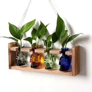 Propagation Stations Halloween Skull  Terrarium Kit Glass Vases  for Father Air Planter  Office Decor