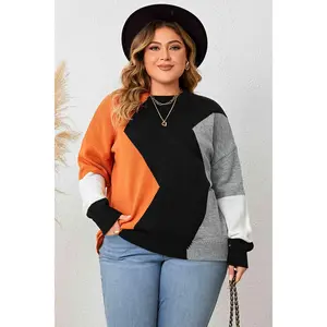 Plus Size Color Block Round Neck Knit Top