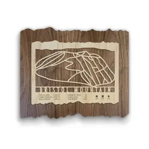 Bristol Mountain Ski Trail Map
