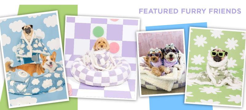 Lesure Warm Donut Bed - Cozy Fluffy Calming Bed for Small/Medium/Large Dogs & Cats, TikTokShopBlackFriday Choice, Soft Plush Round Pet Bed for Winter Comfort, Washable, Anti-Slip Bottom, Camas para Perros, Pet Supplies Bedding Lesure Warm Donut Bed - Cozy Fluffy Calming Bed for Small/Medium/Large Dogs & Cats, TikTokShopBlackFriday Choice, Soft Plush Round Pet Bed for Winter Comfort, Washable, Anti-Slip Bottom, Camas para Perros, Pet Supplies Bedding