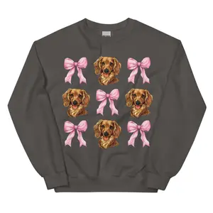 Brown Long Haired Dachshund With Pink Bows Sweatshirt