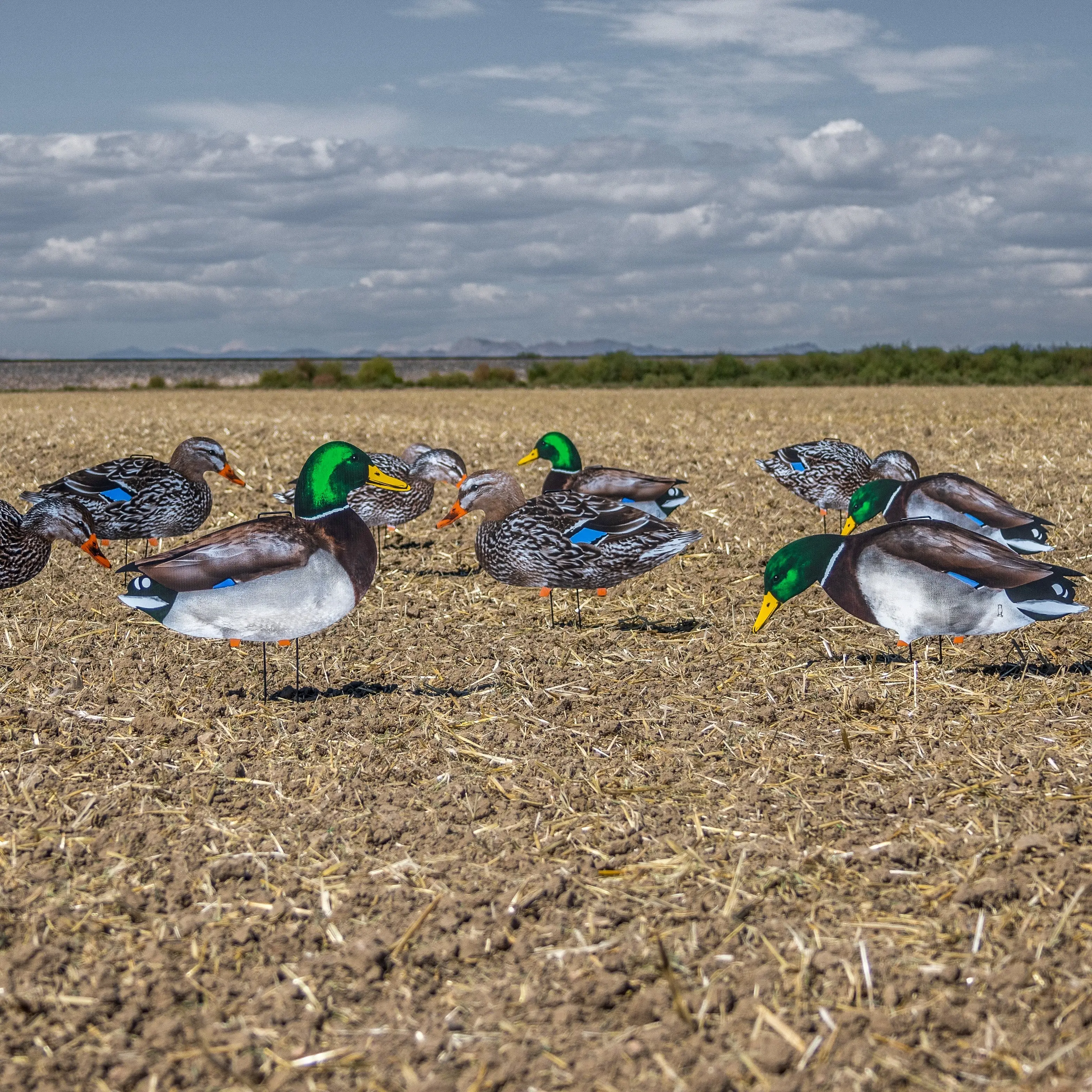 Dive Bomb Industries M1 Mallard Silhouettes - Thumbnail 5